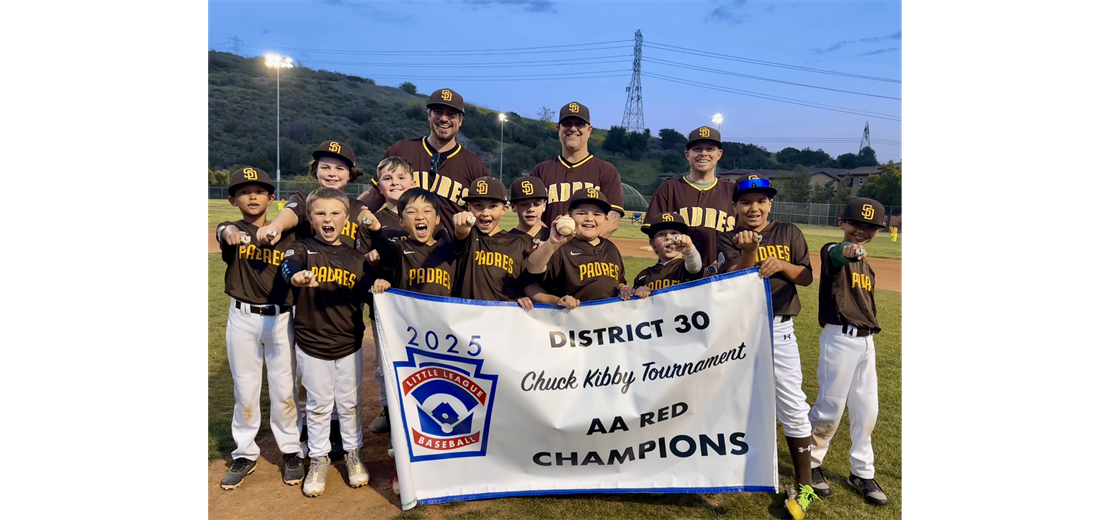 AHLL Padres are the District 30 AA Tournament Champions!